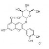 供應(yīng)矢車菊素-3-O-葡萄糖苷  7084-24-4