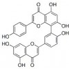 供應穗花杉雙黃酮  1617-53-4