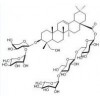 常春藤苷C性質(zhì)   常春藤苷C供應(yīng)