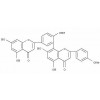 異銀杏素_CAS:548-19-6，Isoginkgetin