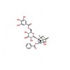 沒(méi)食子酰芍藥苷,CAS:122965-41-7|對(duì)照品公司