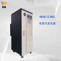 9KW全自動(dòng)電蒸汽發(fā)生器